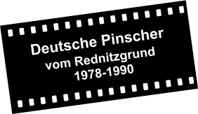 Deutsche Pinscher        vom Rednitzgrund                 1978-1990
